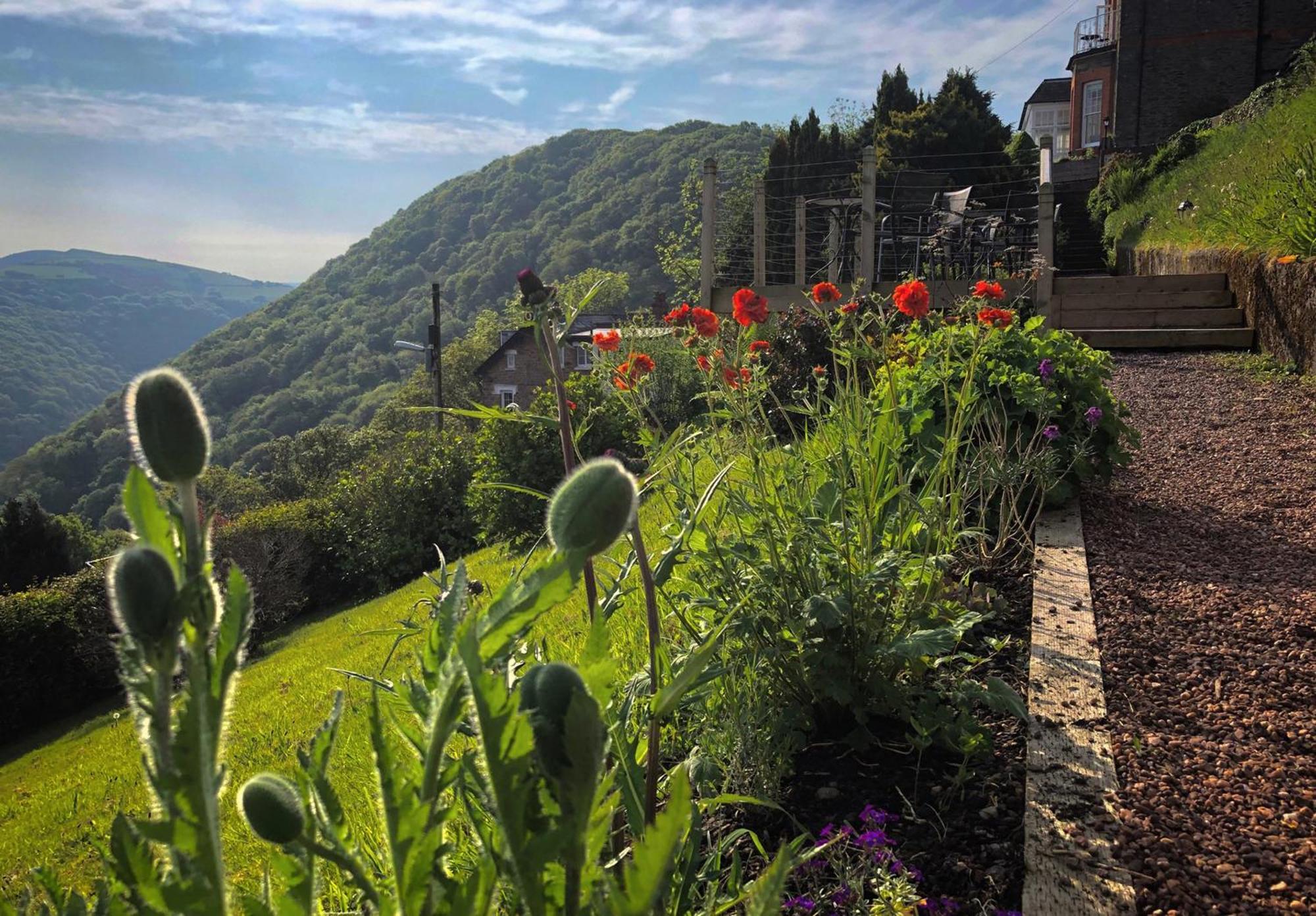 Highcliffe House Bed & Breakfast ลินตัน ภายนอก รูปภาพ